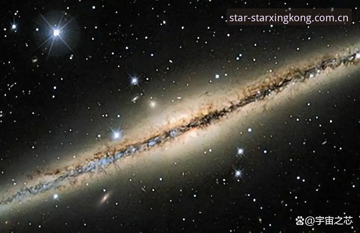 新手用苹果手机查星空参赛数据总失败？问题到底出在哪？